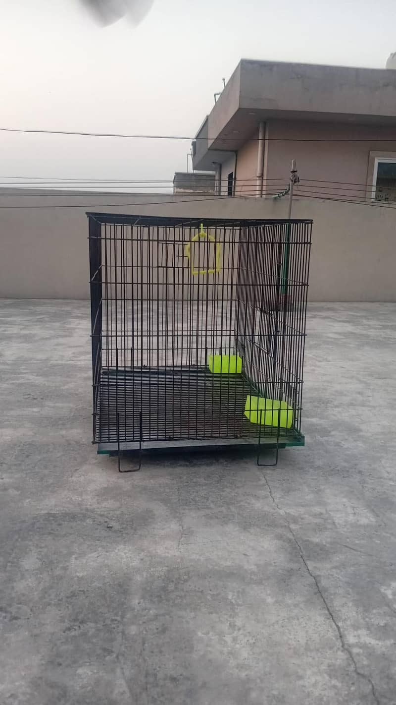 pet cage 3