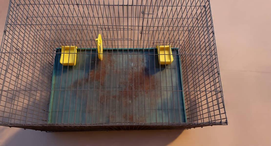 pet cage 4