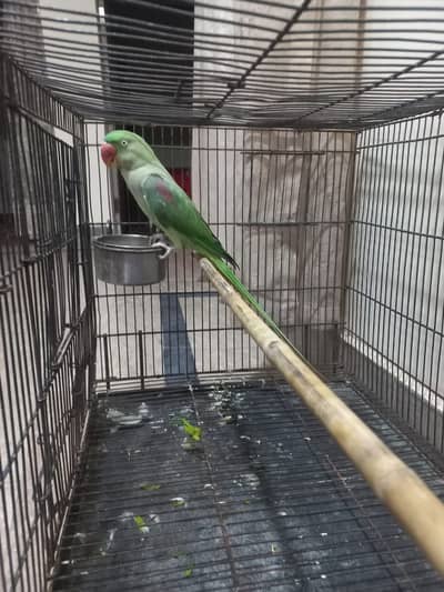 For sale
