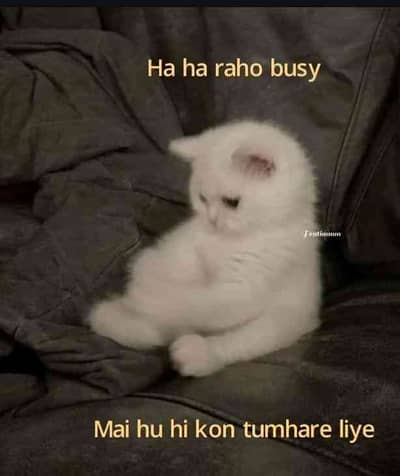 Rana Usama Arif
