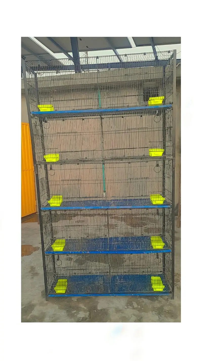 Birds Folding Cage with Angel 10 portion — photo 2