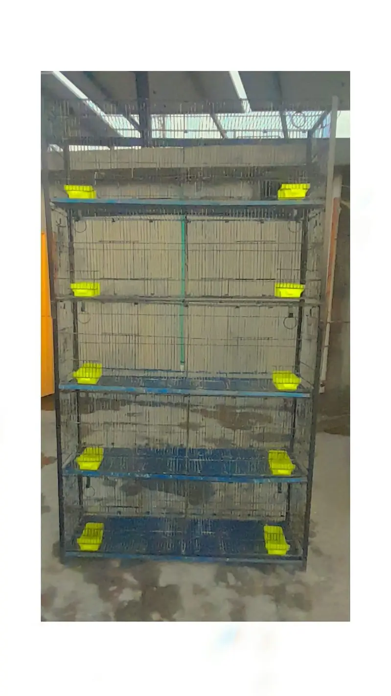 Birds Folding Cage with Angel 10 portion — photo 3
