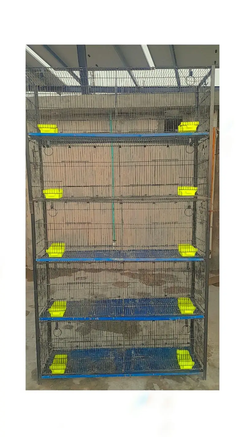 Birds Folding Cage with Angel 10 portion — photo 4