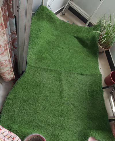 Grass Carpet