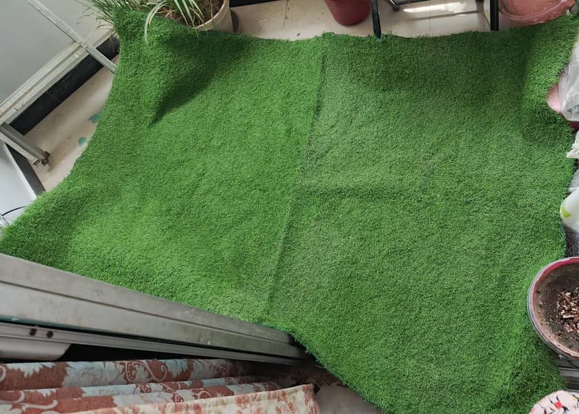 Grass Carpet 2