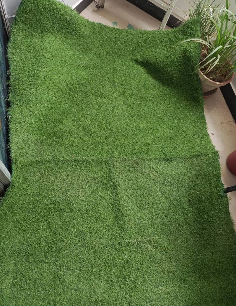 Grass Carpet 3
