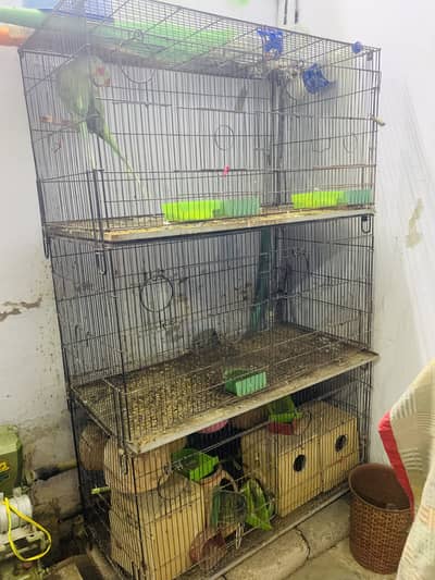 6 portion Cage and pahari pair for sale