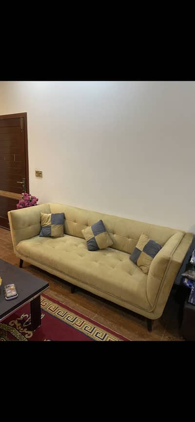 sofa 6 setter
