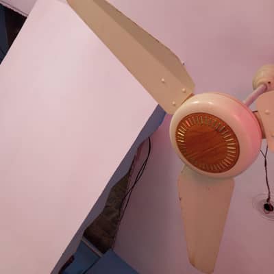 Rado fan