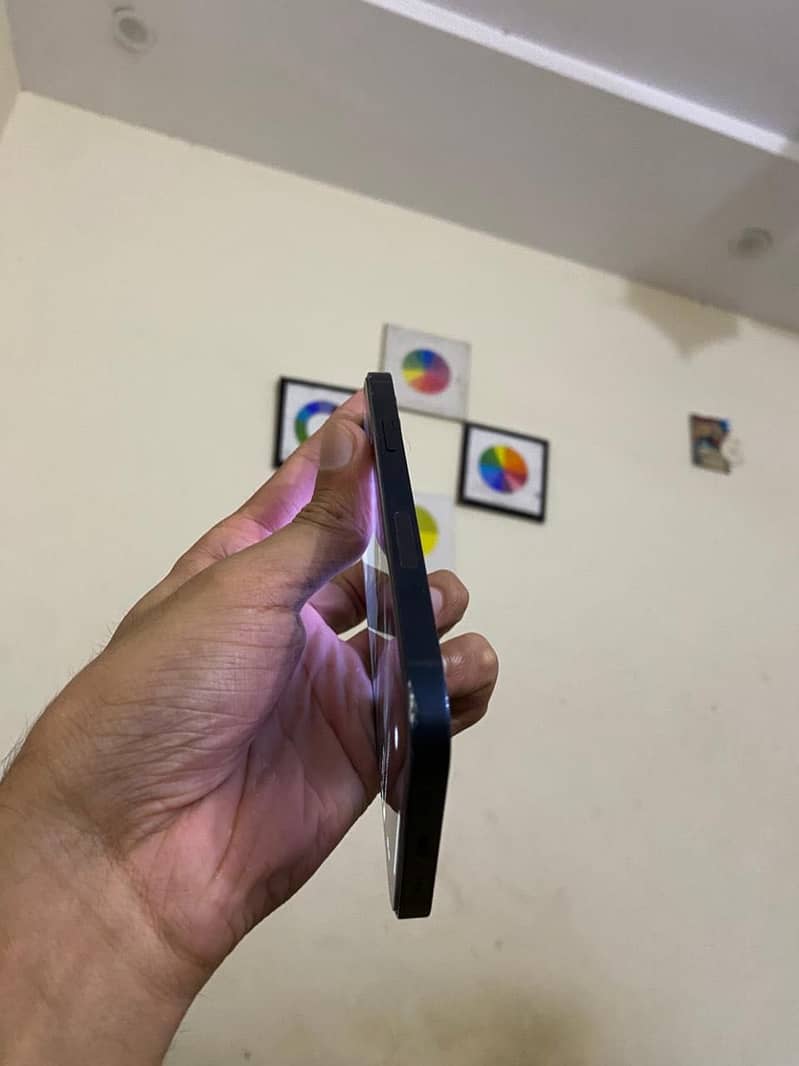 Apple iPhone 12 1
