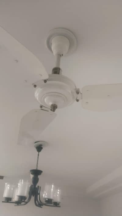 Lahore fans >Regular AC ceiling fans>Makkah-off white 56" top quality