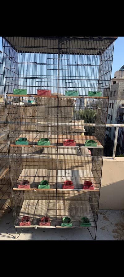 5 star company 8 portions 8 cages