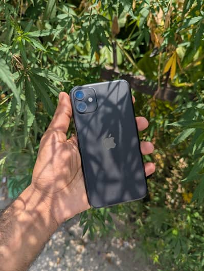 Apple iPhone 11 PTA approved