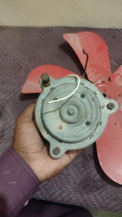 12 volt cooler motar