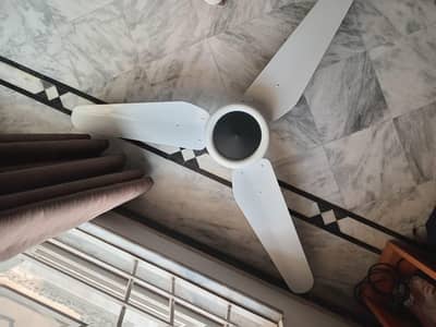 Lahore fans >Panaflex >Regular AC ceiling fans >top quality