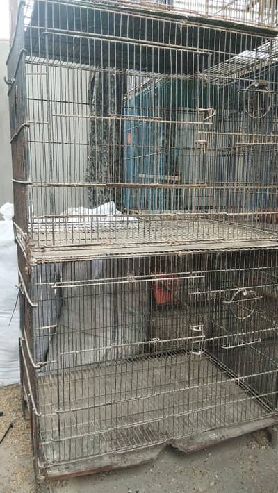 1.5 by 2, 2 portion cage for bajri lovebird finch budgies parrots java