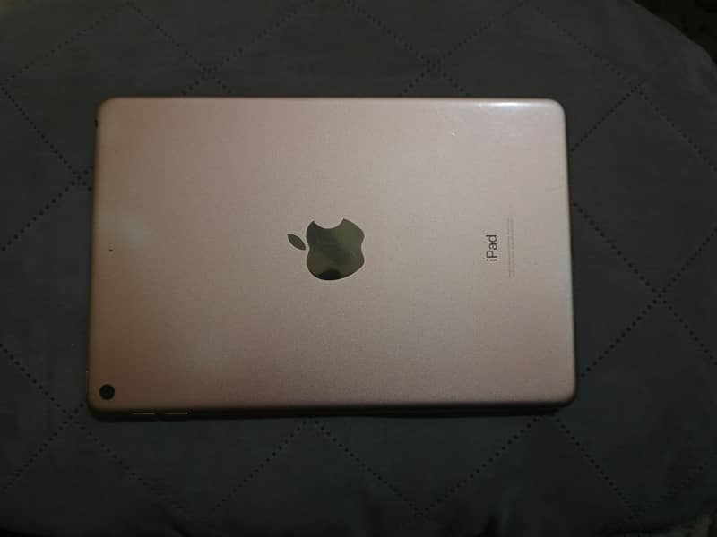 iPad Mini 5 1