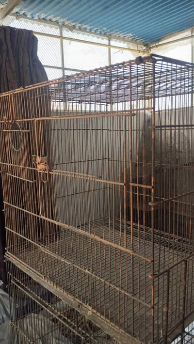 18×21 single portion cage for budgies lovebird finch java bajri parrot