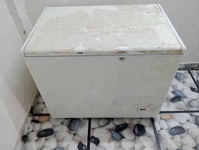 Haier deep freezer single door/0321/0833328/outclass cooling