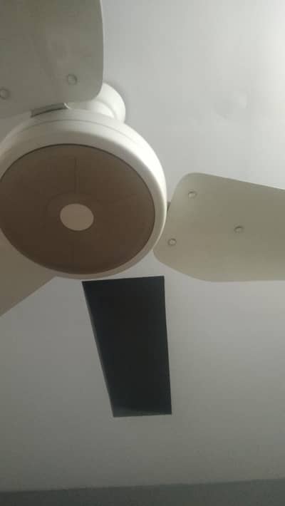 Lahore fans >Regular AC ceiling fans >top quality genuine