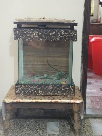 aquarium