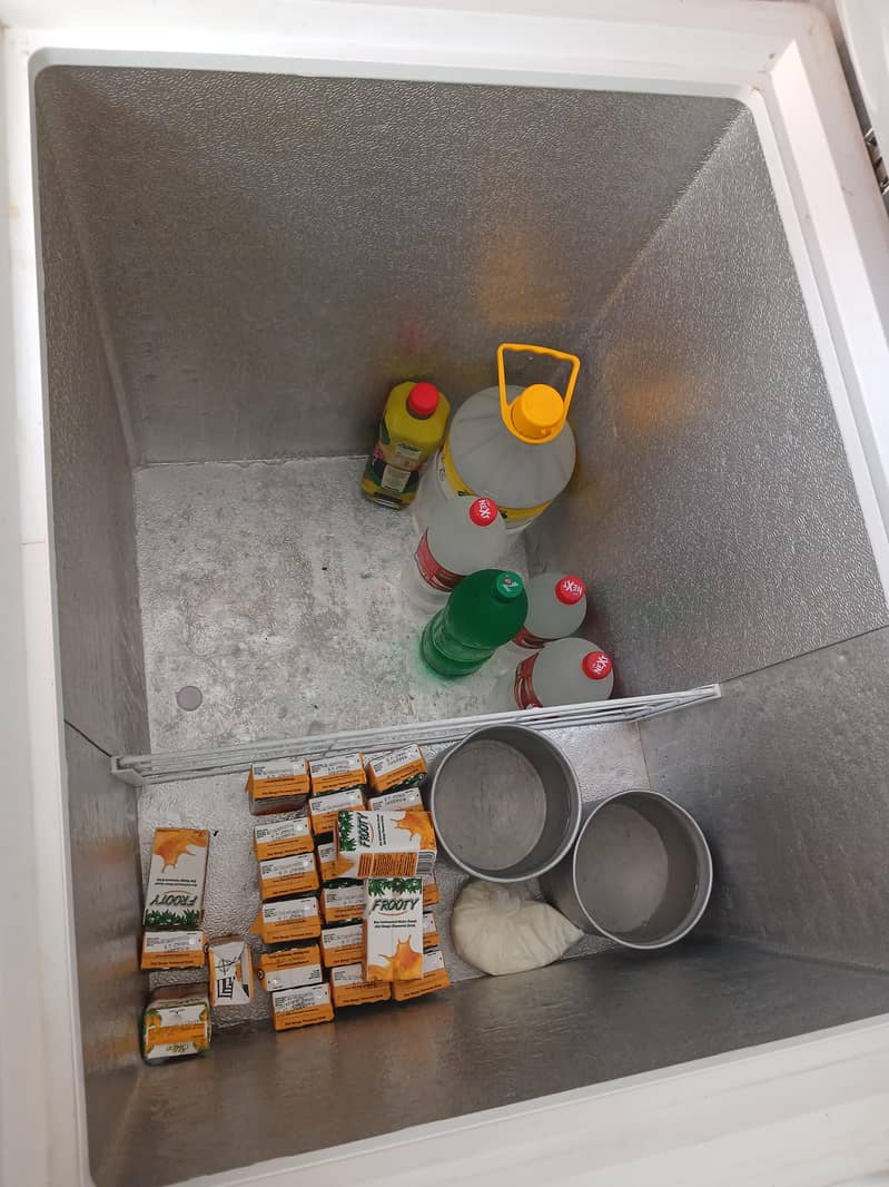 freezer 1