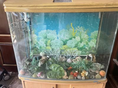 Aquarium