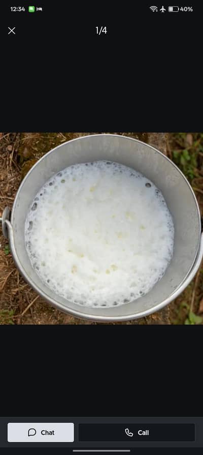 Milk Doodh