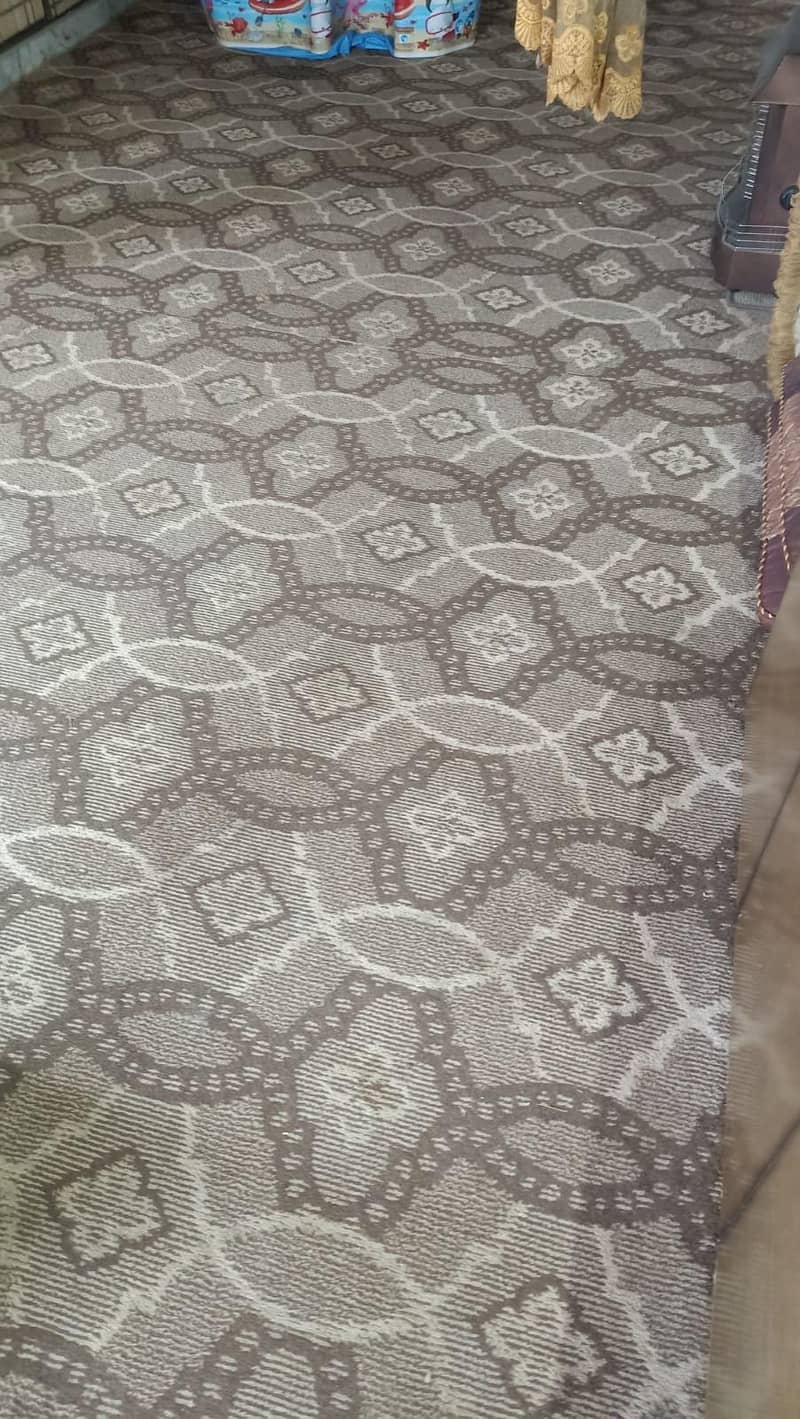 Carpet 0