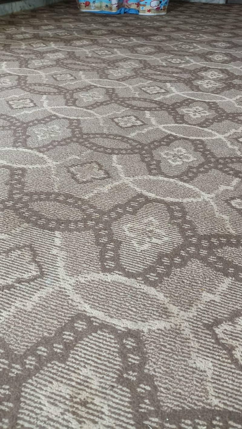 Carpet 1