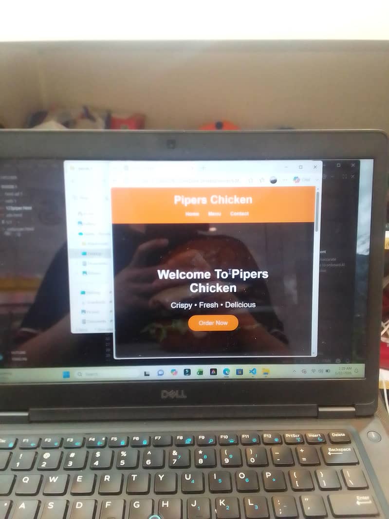 web developer 0