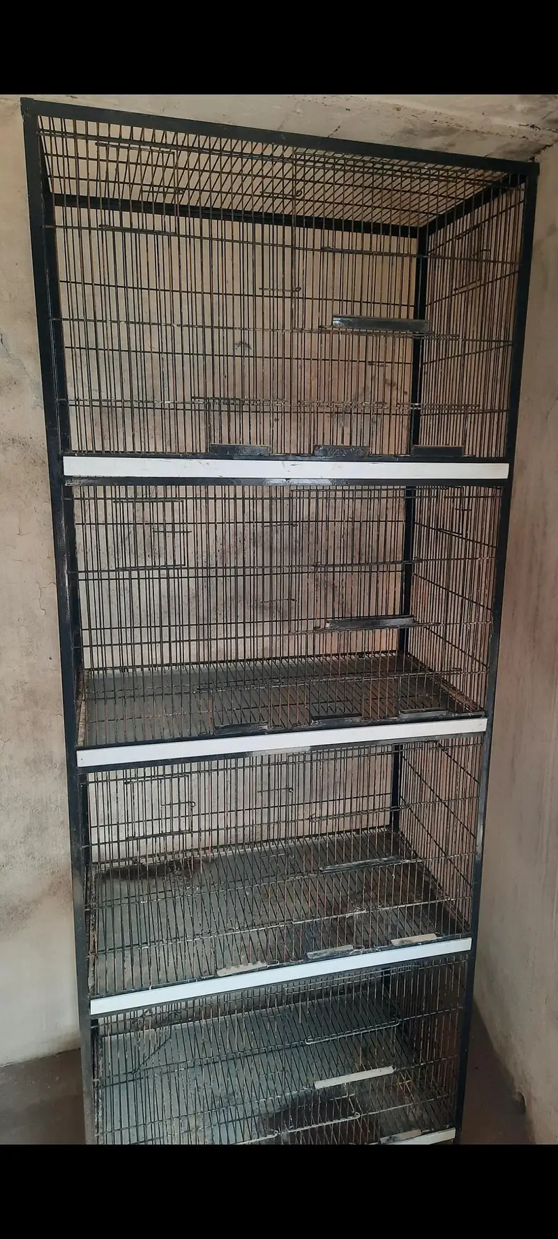 iron cage