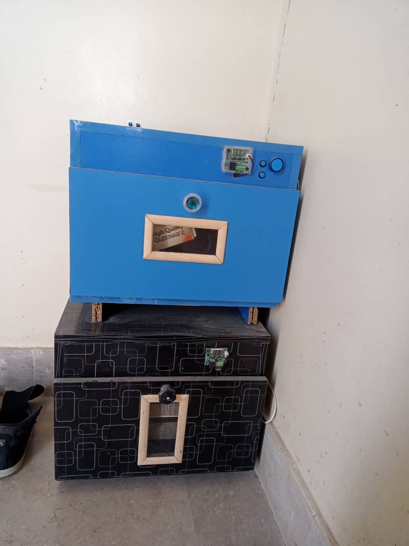 Incubator 0