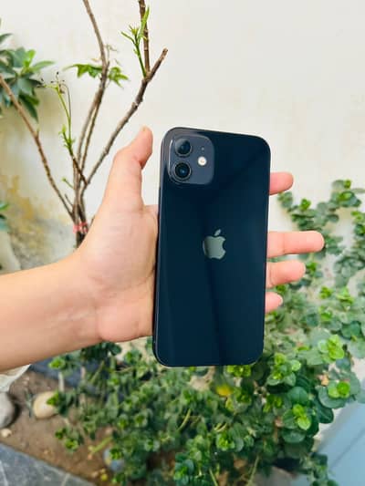 I Phone 12