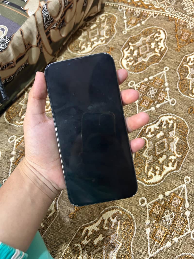 Apple iPhone 13 Pro Max 1