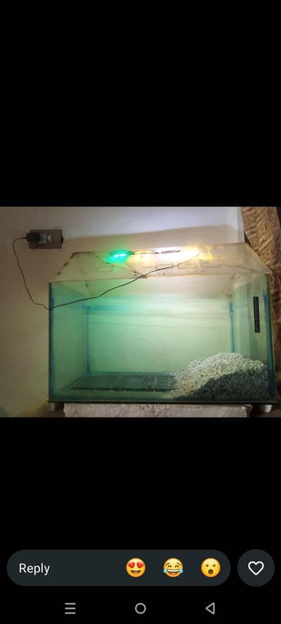 aquarium
