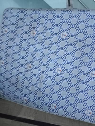 molty foam 5 inch (03034139219)
