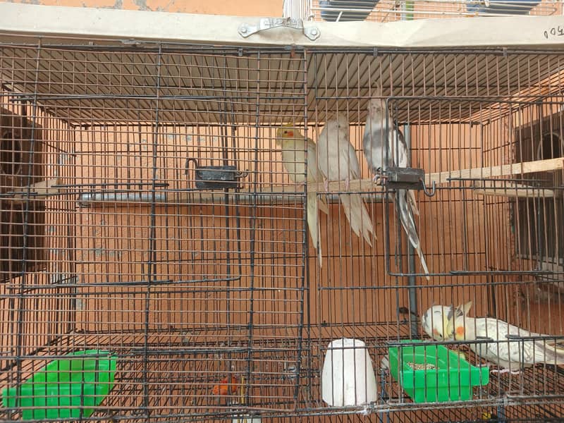 Breader Pair 0