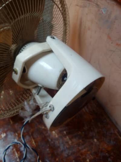 Royal fan new condition bas salo chlta h bas baki sab ok h