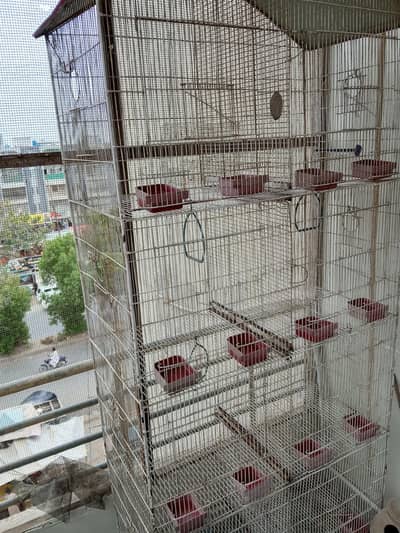 iron cage