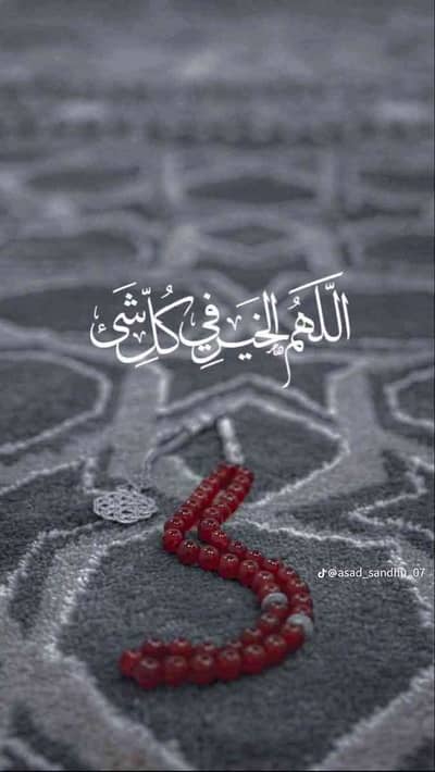 muhummad shakoor 