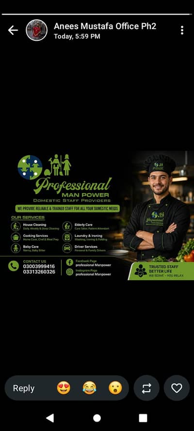 Professional Manpower Domestic Services