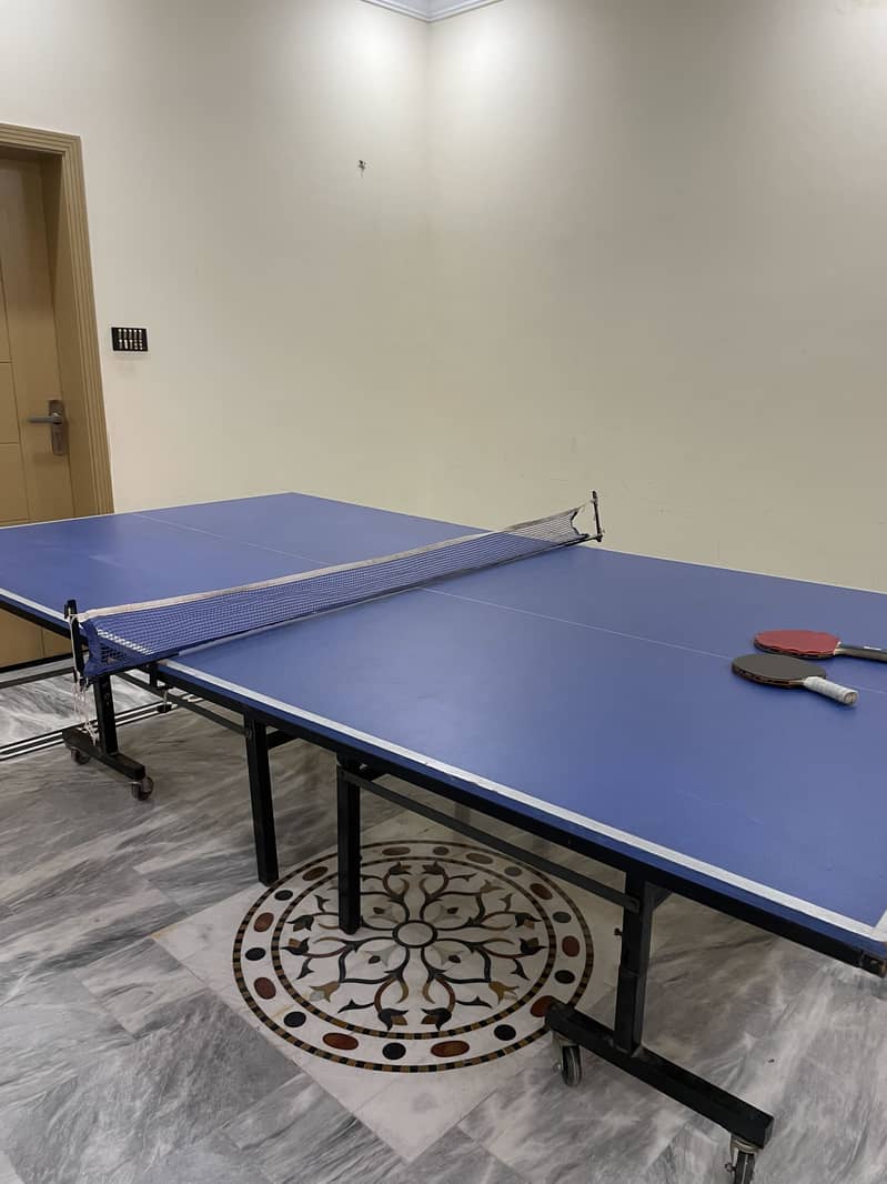 Table Tennis table 0