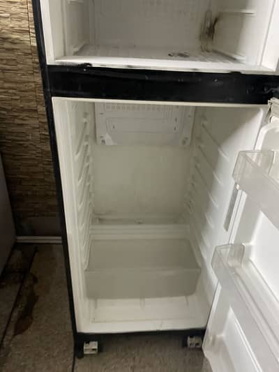 Pel glass door fridgr