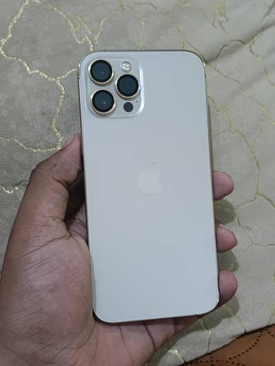 Apple iPhone 12 Pro Max