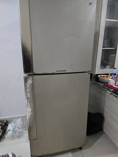 Pel Refrigerator