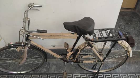 Sarah bicycles