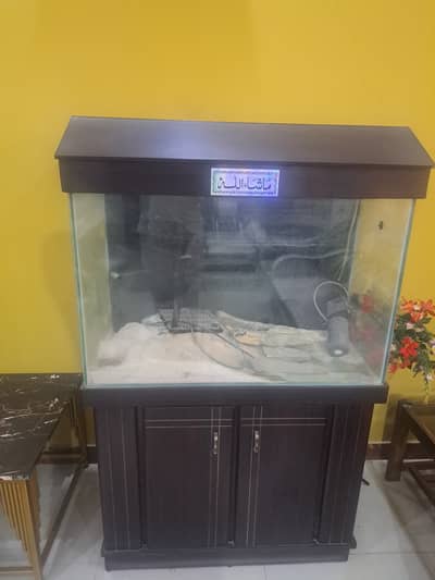 Aquarium All Set