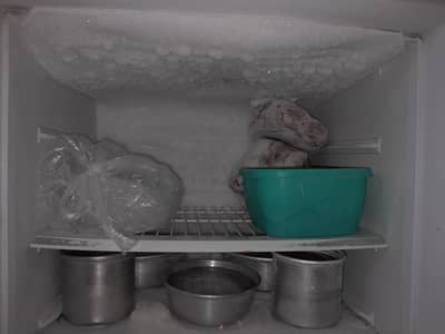 PEL refrigerator For selling reasonable price
