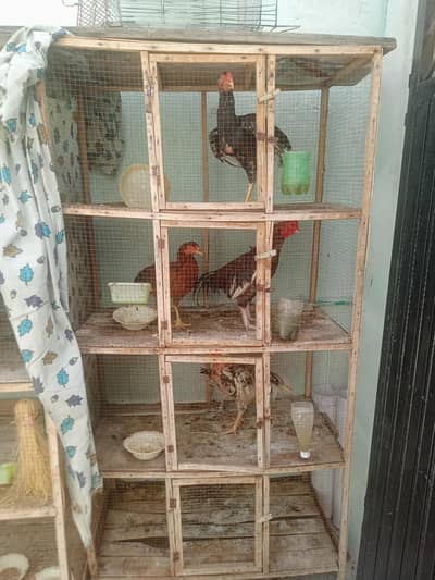 1 addad wooden cage for sale
